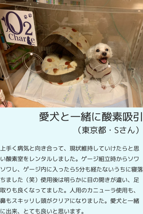 オーツペットを使用した方の声3