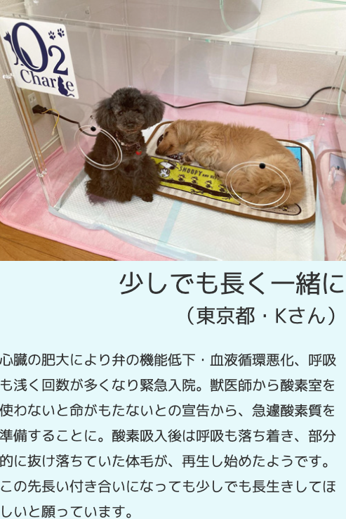 オーツペットを使用した方の声4