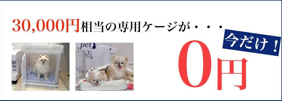 30,000円相当の専用ケージが0円！