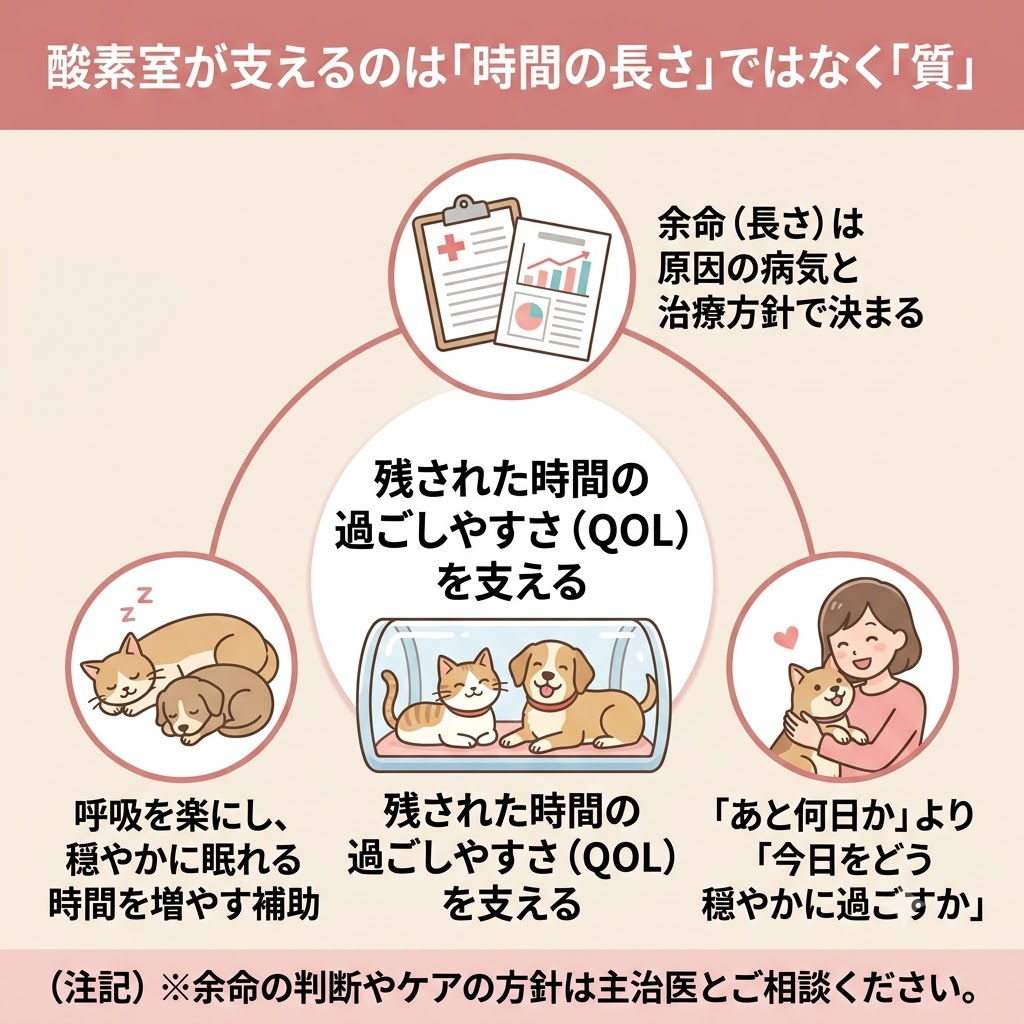 酸素室と余命の関係を図解。余命の長さを延ばすものではなく、呼吸を楽にし、残された時間の生活の質（QOL）を支える役割であることを説明。